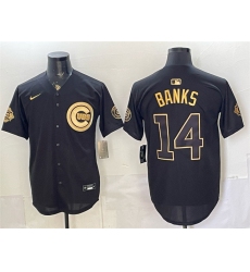 Men's Chicago Cubs #14 Ernie Banks Black Gold 150th Anniversary Stitched Baseball Jersey